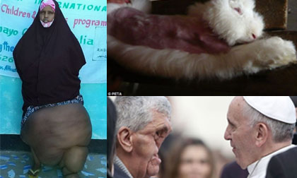 Những bức ảnh "đắt giá" nhất 24h qua (21/11)