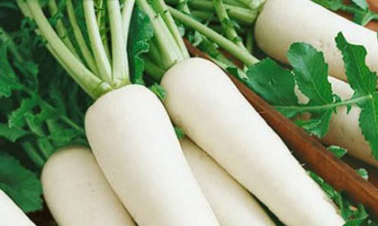 Củ cải trắng chữa bệnh