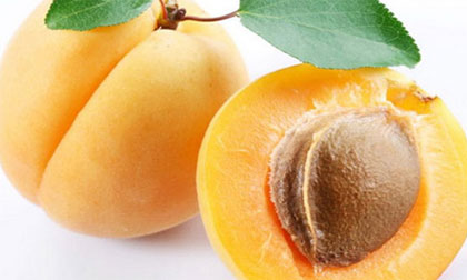 Nhân hạt mơ không dùng tùy tiện