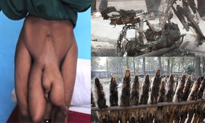 Những bức ảnh "đắt giá" nhất 24h qua (27/11)