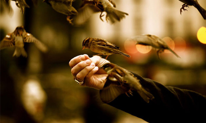 Thứ Năm của bạn (28/11)