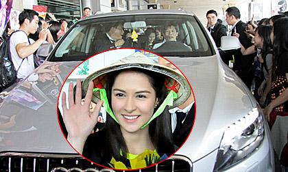 “Mỹ nhân đẹp nhất Philippines” bị fan Việt “bủa vây” tại sân bay