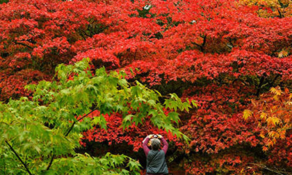 Vẻ đẹp mùa thu 2013 trên khắp thế giới