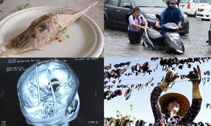 Những bức ảnh "đắt giá" nhất 24h qua (07/11)