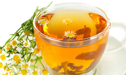 Bị tê tay chân khi uống trà khổ qua, hoa cúc... đậm đặc?