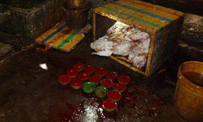 Scandal thực phẩm bẩn chấn động dư luận năm 2013