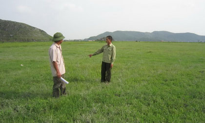 Hơn 10.500 hộ nông dân bỏ ruộng vì thu nhập thấp