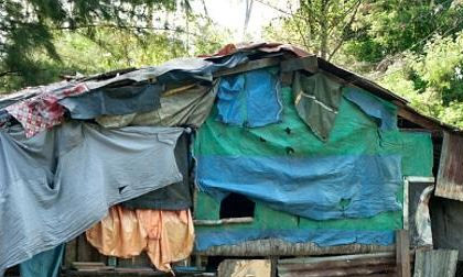 Úc: Kinh hoàng gia đình 40 người quan hệ loạn luân