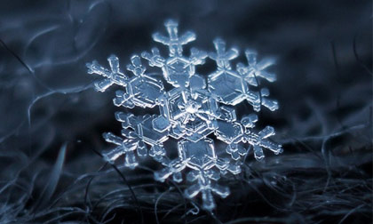 Ngắm những bông tuyết long lanh như pha lê