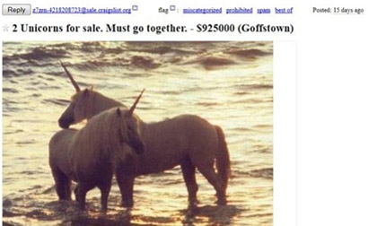 Rao bán ngựa một sừng với giá hàng chục tỉ đồng