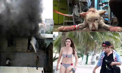 Những bức ảnh "đắt giá" nhất 24h qua (20/12)