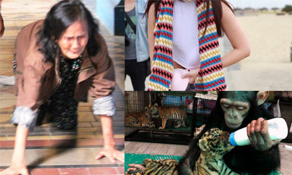 Những bức ảnh đắt giá nhất 24h qua (26/12)