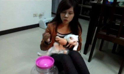 Nữ sinh gây phẫn nộ khi nhồi nhét mèo vào hộp kín