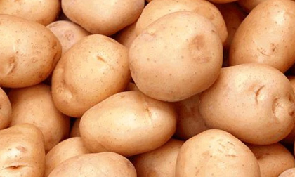 Khám phá giá trị dinh dưỡng bất ngờ từ khoai tây