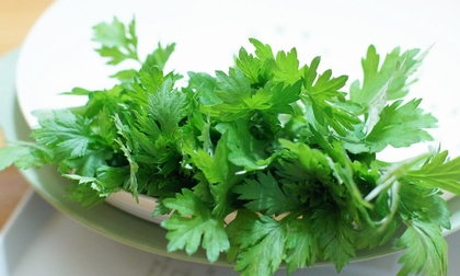 Ngải cứu và công dụng chữa bệnh bất ngờ