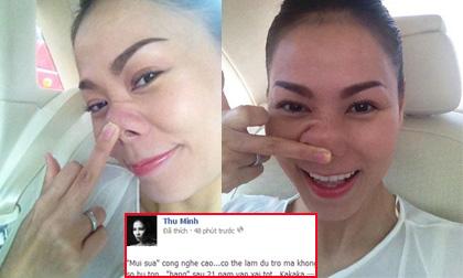 Thu Minh "vạch mũi phản pháo" tin đồn sửa mũi