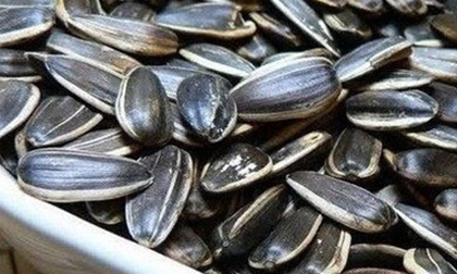 Hạt hướng dương chứa chất gây teo não
