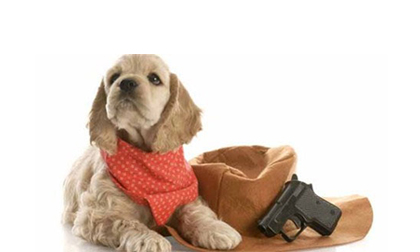 Chó bắn chủ bị thương