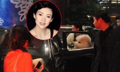 Chương Tử Di có thực sự là gái bao cao cấp?