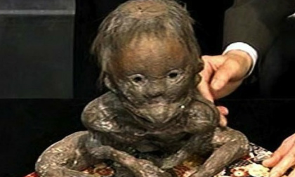 Sốc với những sinh vật kỳ lạ 'hiếm có khó gặp'