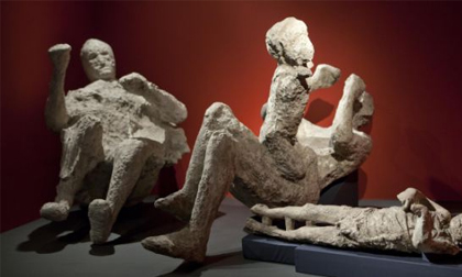 Đỏ mặt với triển lãm "sinh hoạt tình dục"