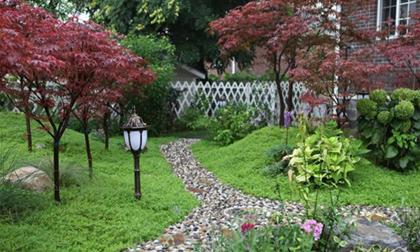 Những góc bài trí vườn đẹp độc