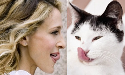 Hài hước với những chú mèo mang gương mặt của người nổi tiếng