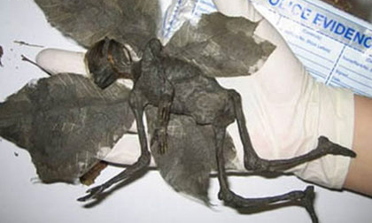 Những lời nói dối kinh khủng nhất mọi thời đại