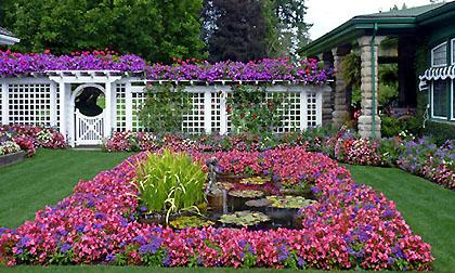 Những không gian vườn đẹp hút mắt người ngắm