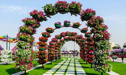 Ngợp mắt với vườn hoa tự nhiên lớn nhất thế giới