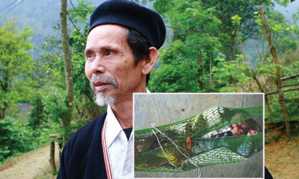 Kinh hoàng tục bỏ con bằng cách treo lên ngọn cây giữa rừng