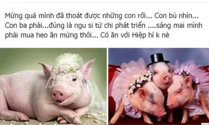 Phát hoảng nghe sao Việt văng tục trên Facebook 