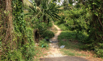 Nghi án xe ôm hiếp dâm bé gái lớp 1