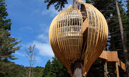 Thú vị với những ngôi nhà lơ lửng trên cây