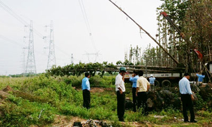 Sự cố mất điện toàn miền Nam: Ai sẽ phải bồi thường thiệt hại?