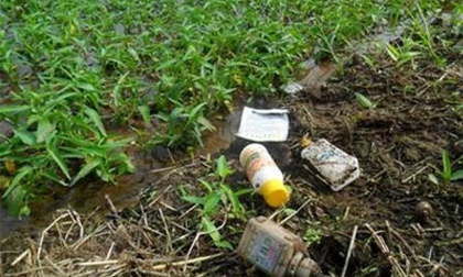 Rau muống "ướp" thuốc độc ở Hà Nội