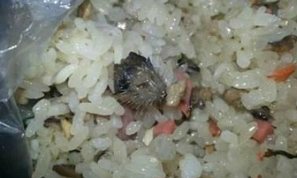Hãi hùng cơm chiên với đầu chuột