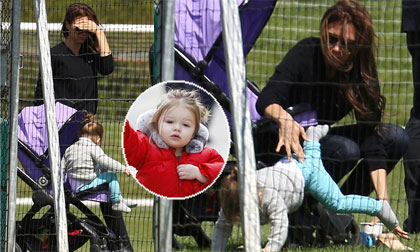 Mải chơi, Harper bị ngã "lộn cổ" khỏi xe đẩy