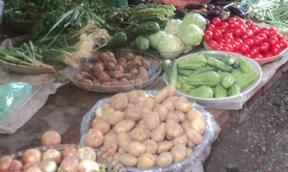 Khoai tây nghi nhiễm độc vẫn ùn ùn về Hà Nội