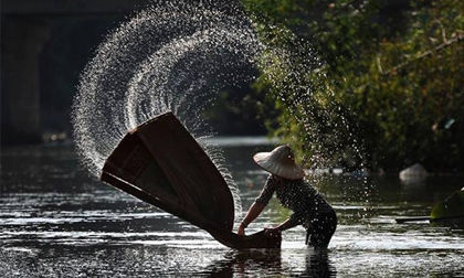 Những hình ảnh khiến cộng đồng mạng “phát cuồng” trong tuần qua