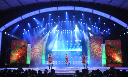 Một nữ ca sĩ Việt bị truy thu thuế 1 tỷ 254 triệu đồng