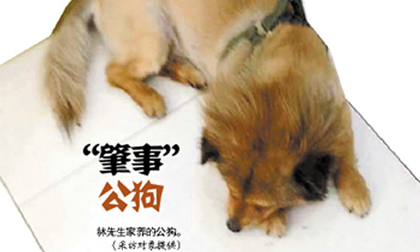 Kiện chó đực “cưỡng hiếp” chó cái đòi bồi thường “trinh tiết” 340 triệu