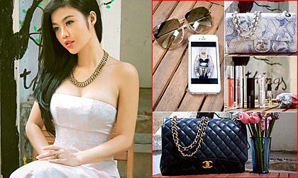 Khám túi “bà chủ hàng hiệu” - hoa hậu Julia Hồ