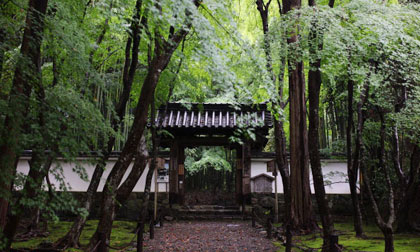 Ngắm vẻ đẹp thanh tịnh của những ngôi đền cổ ở Kyoto