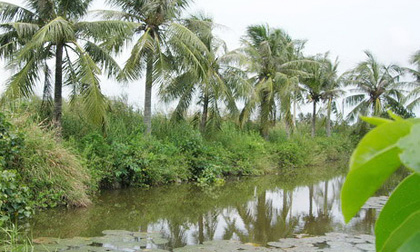 Cưỡng hiếp liên tiếp 3 nữ sinh gây chấn động miền Tây