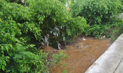 Hai cha con đánh nhau, người cha thiệt mạng