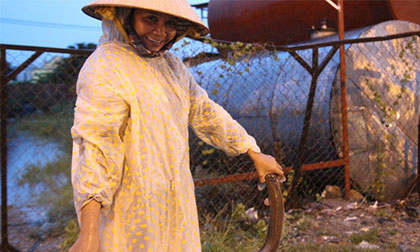 Mưa lớn, cá trê tràn lên xa lộ Hà Nội