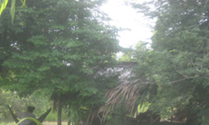 Căm phẫn gã con trai "làm bậy" với cả mẹ già 82 tuổi