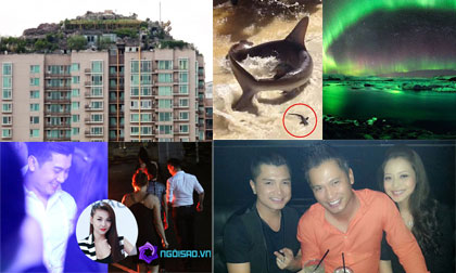 Những bức ảnh "đắt giá" nhất 24h qua (13/8)