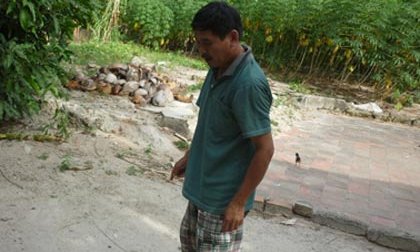 Đằng sau vụ cháu giết bà nội cướp tiền